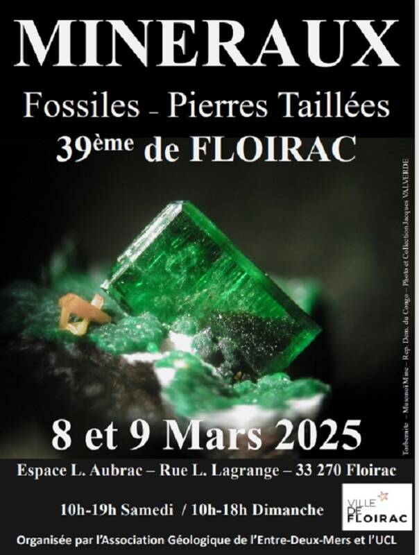 39 ème salon de minéraux et de fossiles