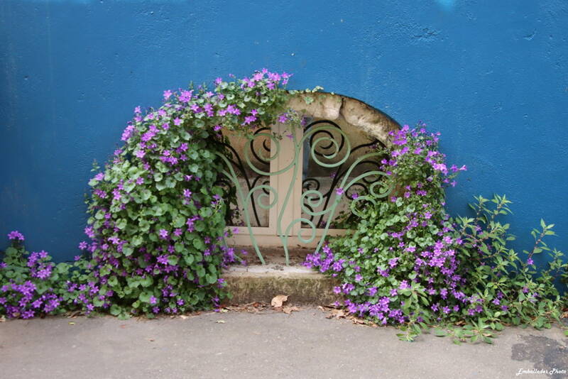 Balade photographique