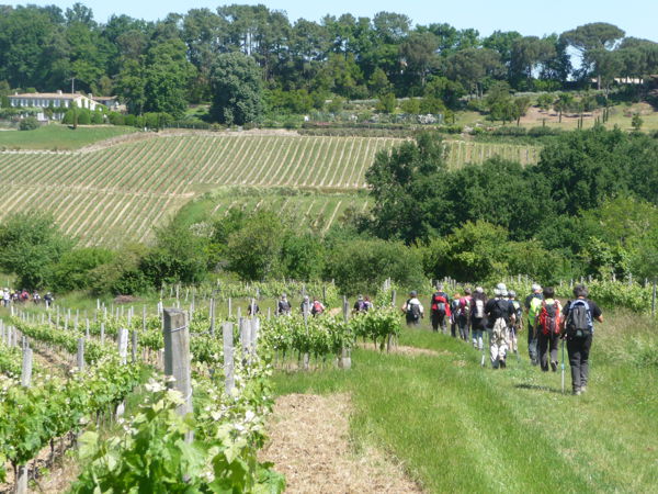 Randonnée : Les 40 km de Podensac