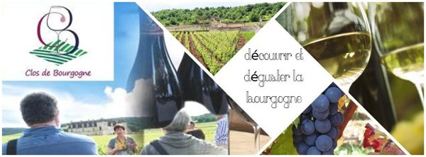 stage découverte des climats et initiation à la dégustation géo sensorielle des vins de bourgogne