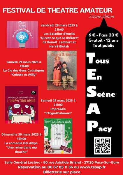23eme festival de théâtre amateur