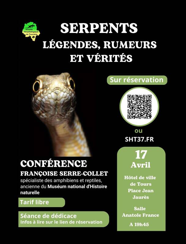 Serpents : Légendes, rumeurs et vérités