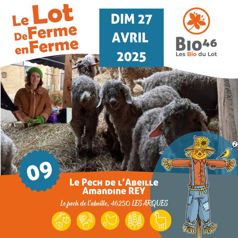 LE LOT DE FERME EN FERME : Amandine REY