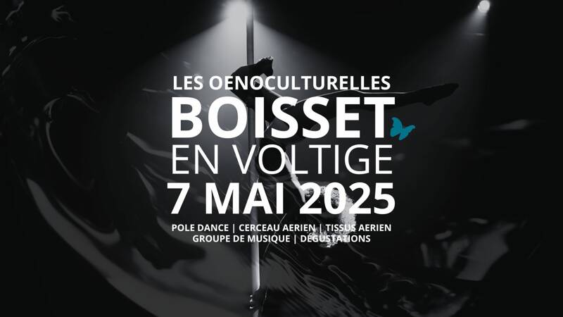 Boisset en Voltige