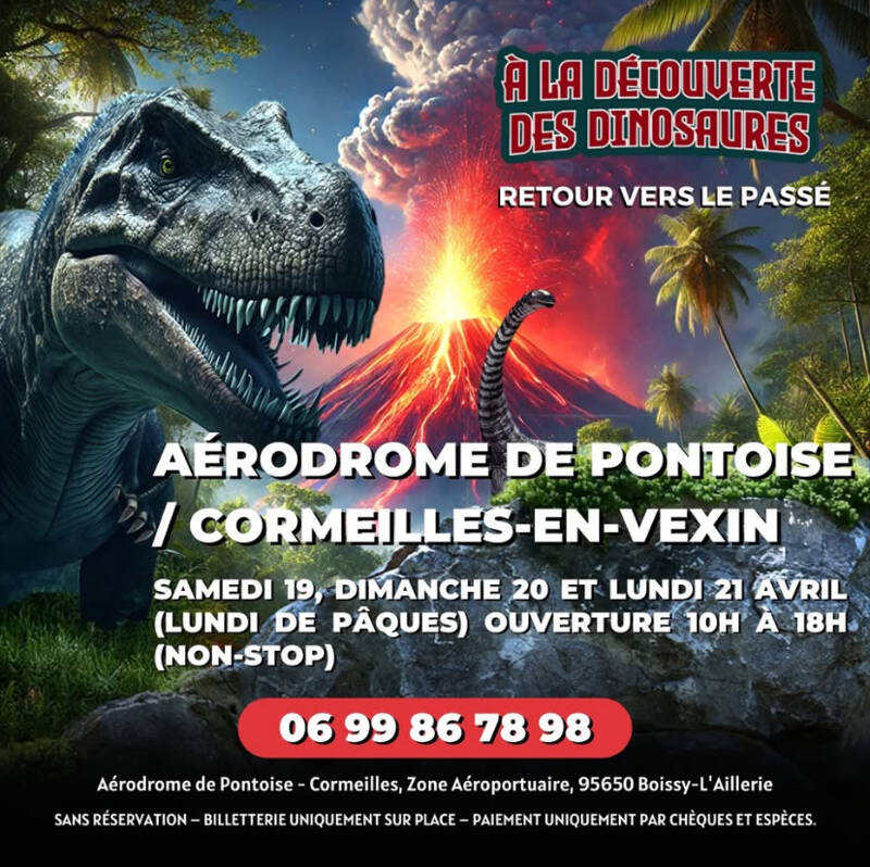 À la découverte des dinosaures
