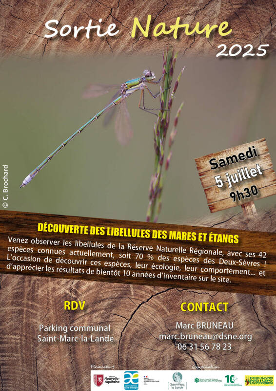 Découverte des libellules des mares et étangs