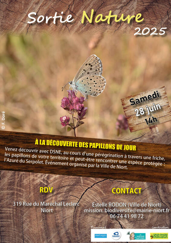 À la découverte des papillons de jour