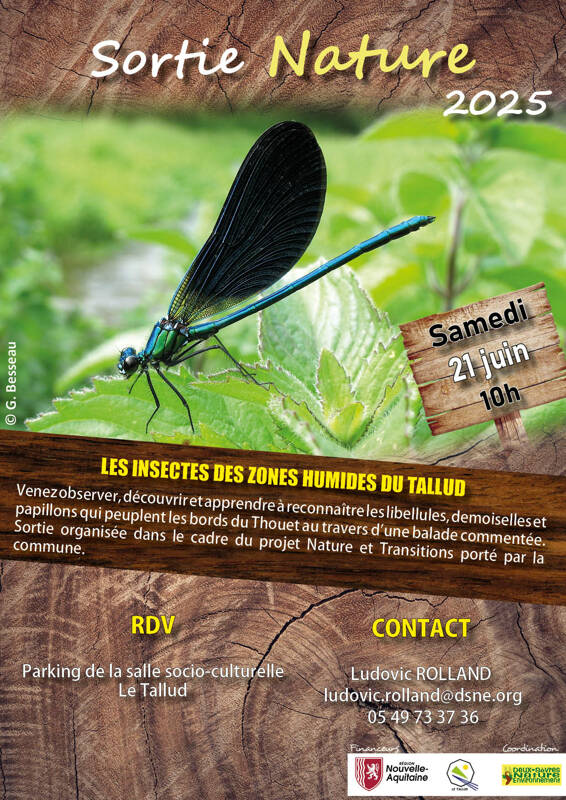 Les insectes des zones humides du Tallud