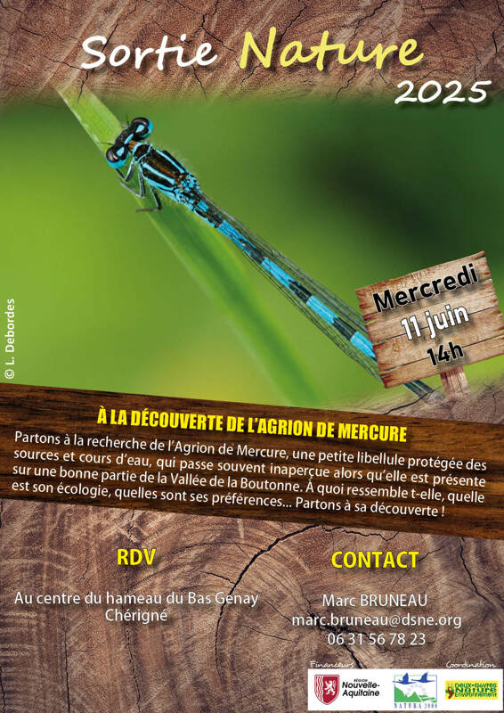 À la découverte de l'Agrion de Mercure