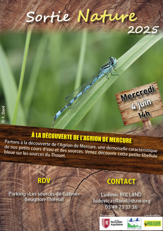 À la découverte de l'Agrion de Mercure