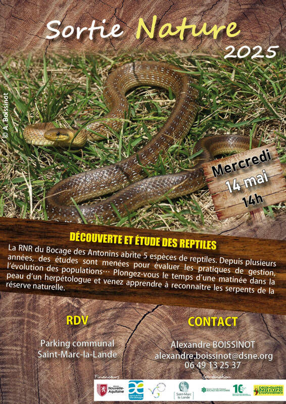 Découverte et étude des reptiles