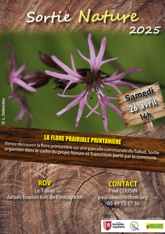 La flore prairiale printanière