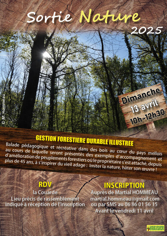 La gestion forestière durable