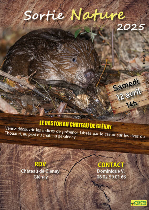 Le castor au château de Glénay