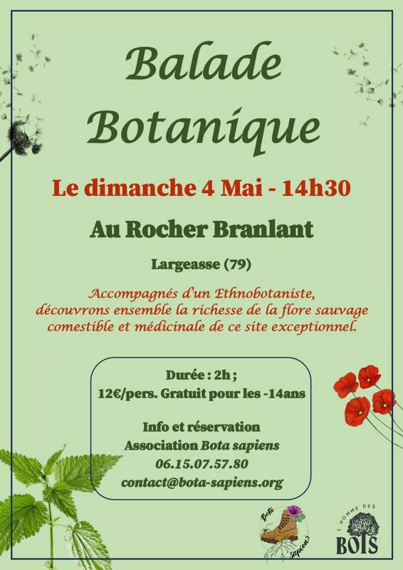 Balade Botanique au Rocher Branlant