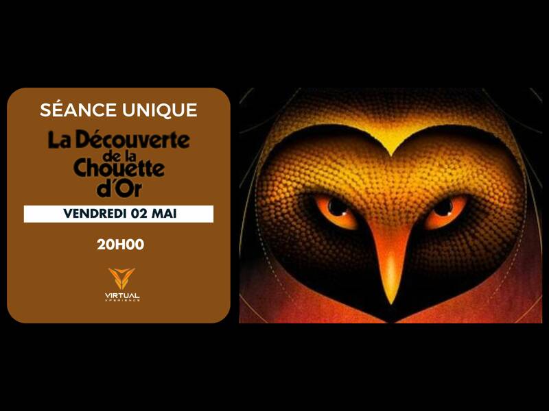 La découverte de la chouette d'or