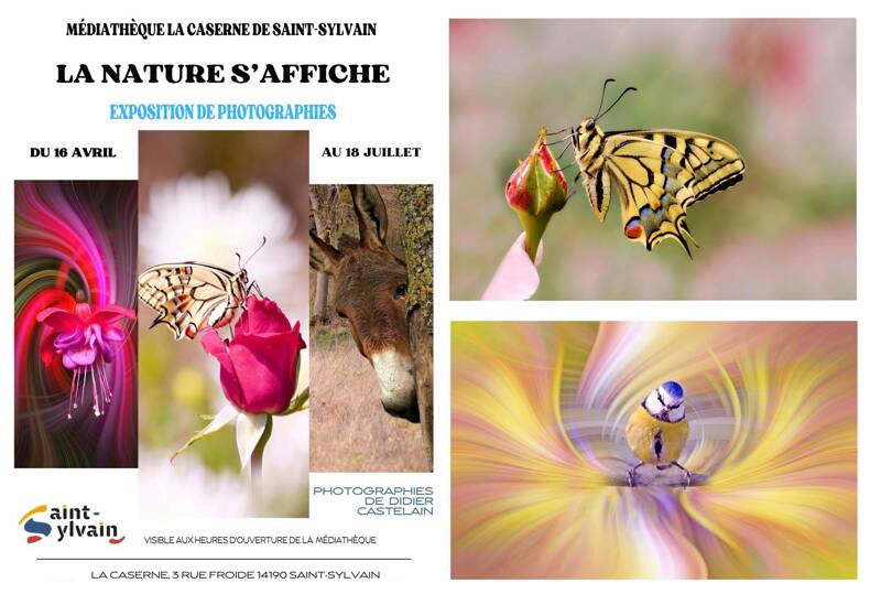 Exposition de Photographies