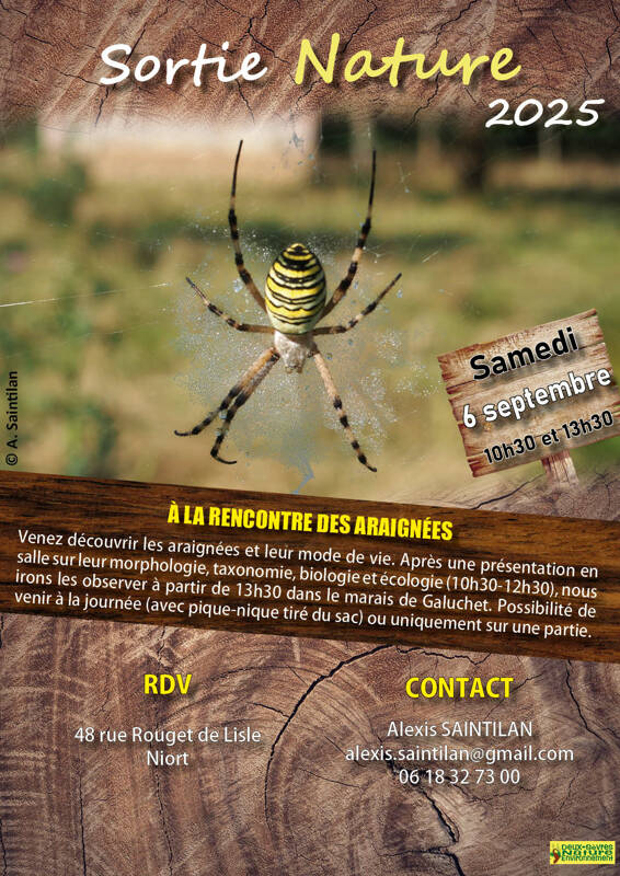 À la rencontre des araignées