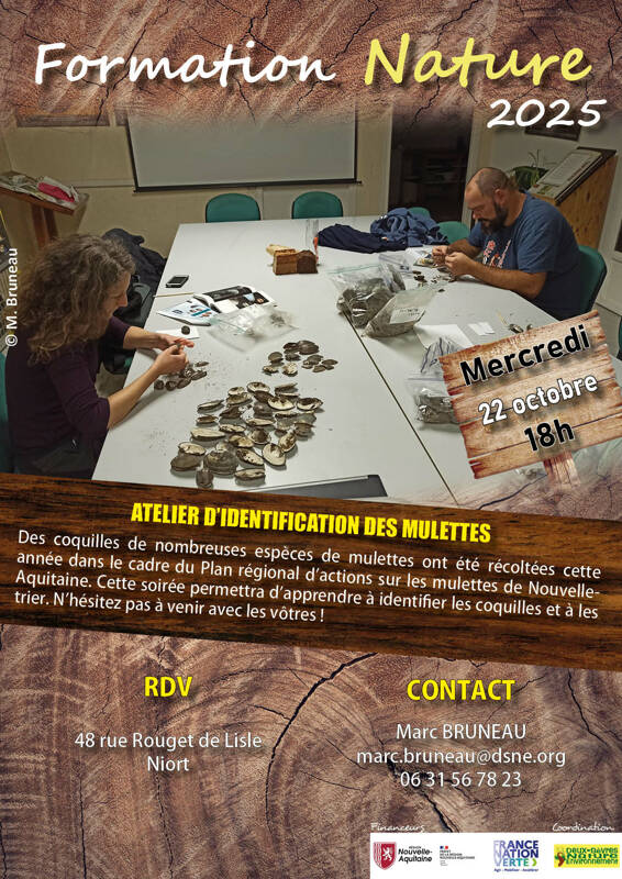 Atelier d'identification des mulettes