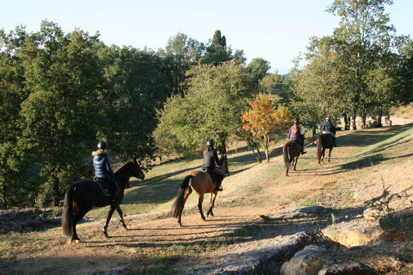 Randonnée des Amis du Cheval