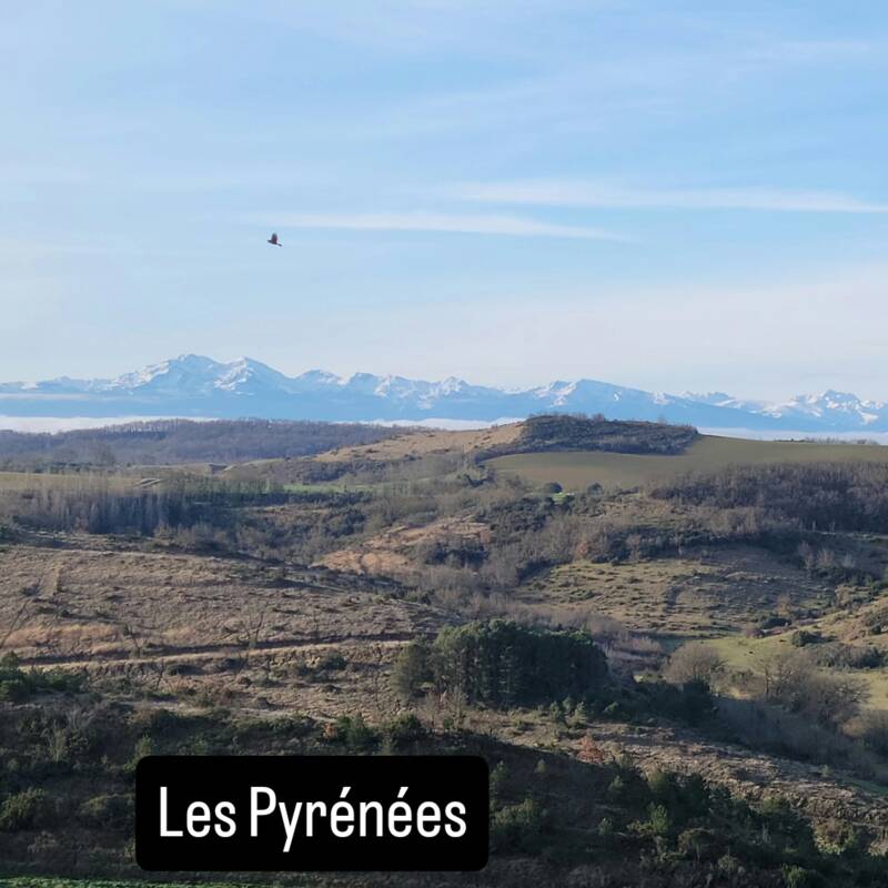 Trail Saute Collines Villeneuve-La-Comptal