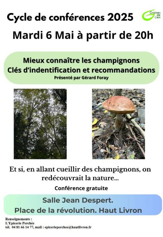 Mieux connaître les champignons Clés d’identification et recommandations