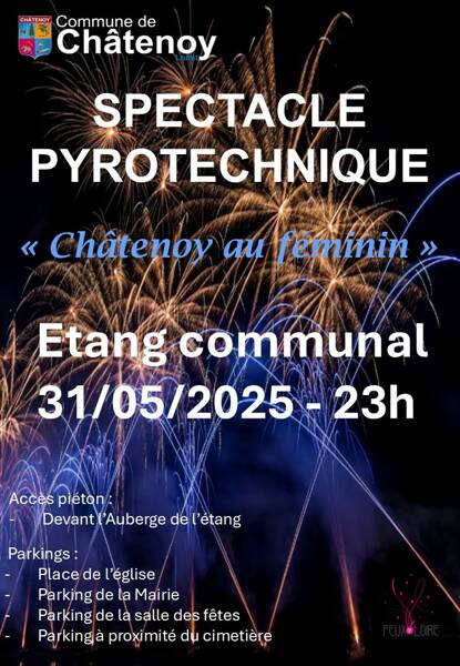 Spectacle pyrotechnique musical 