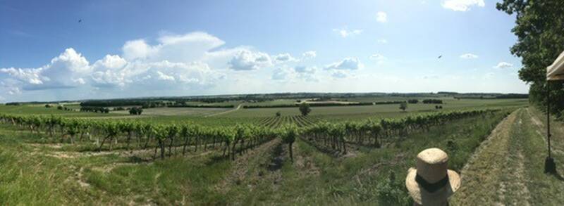 MARCHE GOURMANDE CHAMPAGNAC / MEUX