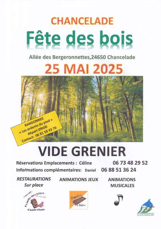 vide grenier