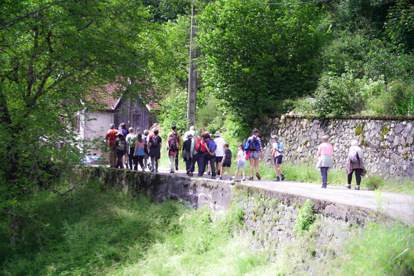 Balade buissonnière
