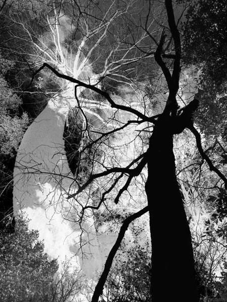 FINISSAGE Moïse SADOUN – Bipolarités