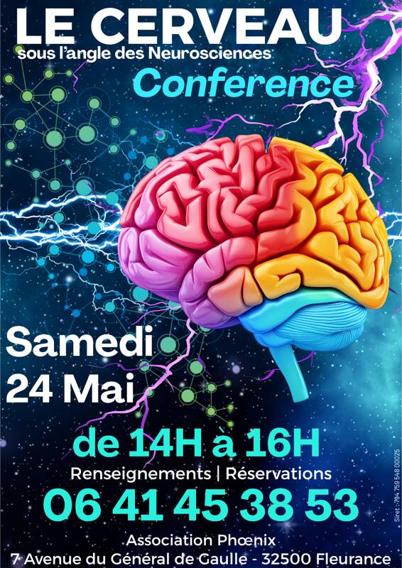 Le Cerveau, sous l'angle des Neurosciences