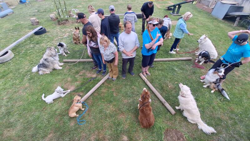 ÉDUCATION CANINE CHATEAUNEUF EN THYMERAIS FAIT SON SHOW !