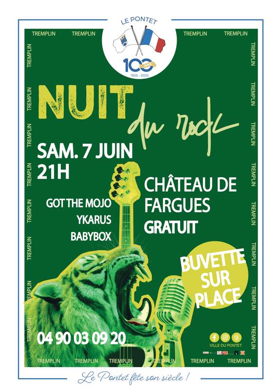 8e Nuit du Rock