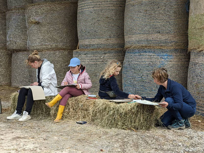 Atelier croquis à la ferme du Sart