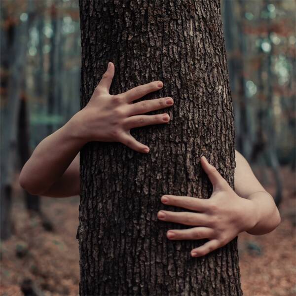 LA FORÊT DANSE ! 