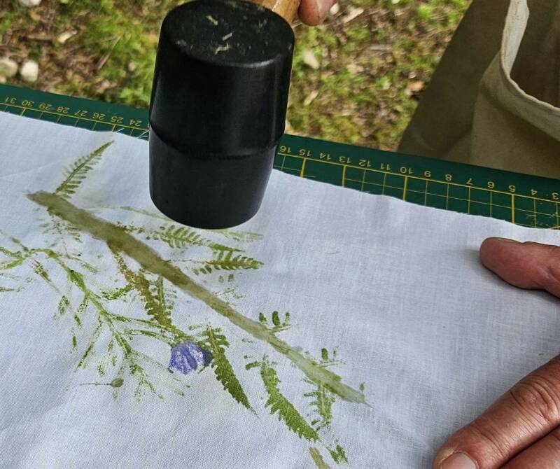 Atelier - Imprime la nature