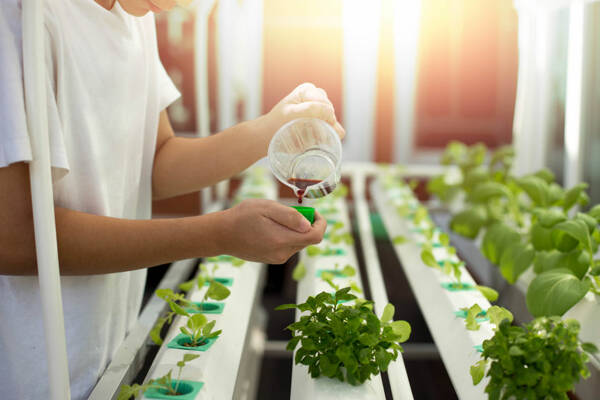 Visite Guidée des sites agricoles locaux