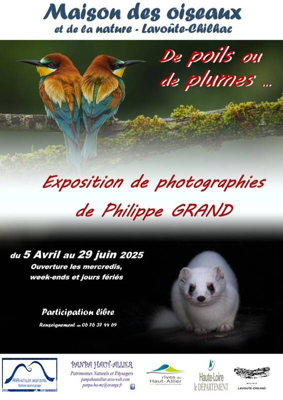Exposition «  de poils ou de plumes », photographies animalières de Philippe GRAND.