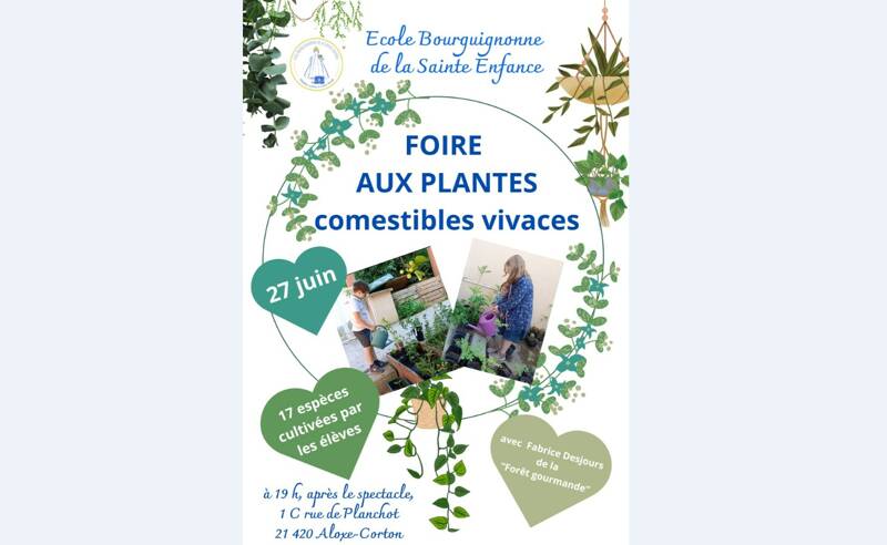 Foire aux plantes vivaces comestibles