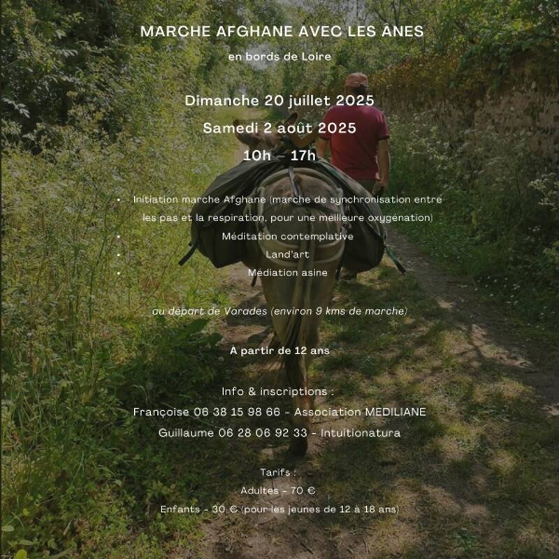 Marche afghane avec les ânes