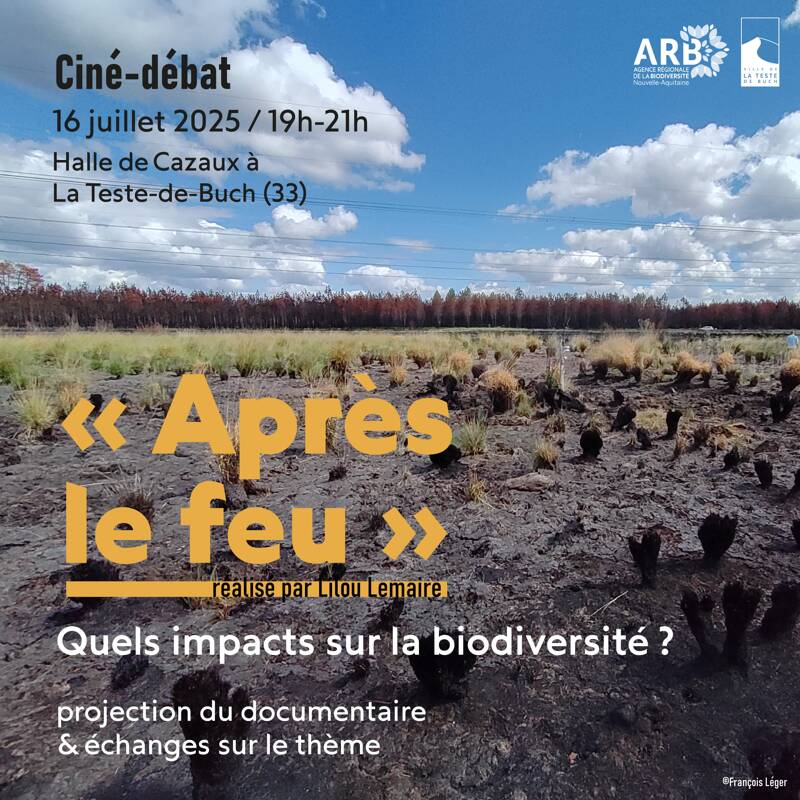 Ciné-débat 