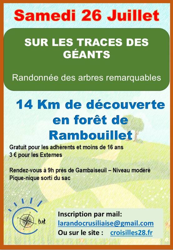 Sur les Traces des Géants - Randonnée des Arbres Remarquables en forêt de Rambouillet