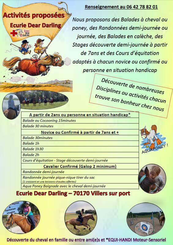 Toute l'année découverte poney ou cheval