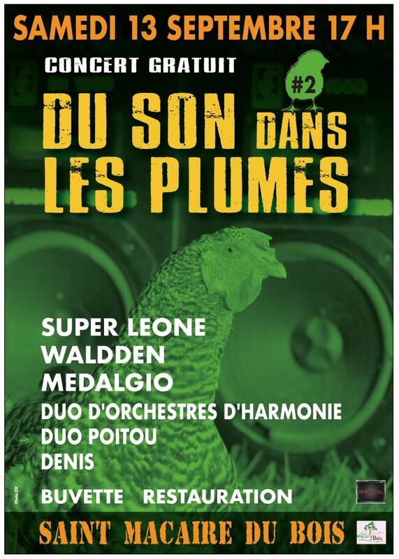 DU SON DANS LES PLUMES #2