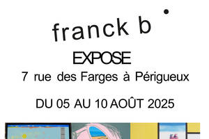 photo Franck Buisson : Graphisme et Pop Art