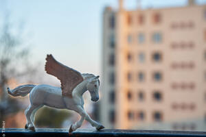 photo De mon point de vue