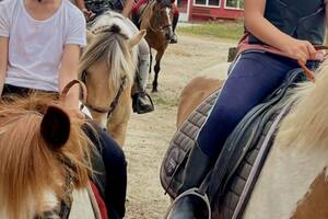 photo Stage d'équitation aux Ecuries du Dropt