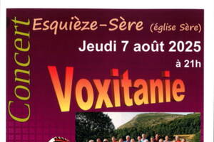 photo Concert VOXITANIE