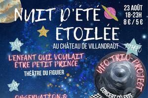 Nuit d'été étoilée